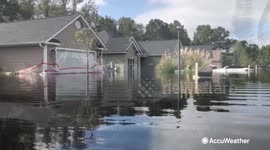 What planting zone do you live in?