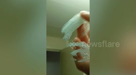 Artist makes portrait from rolls of leftover toothpaste collected from hotels