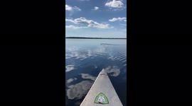 Apparently my little sister isn't the biggest fan of getting too close to gators!