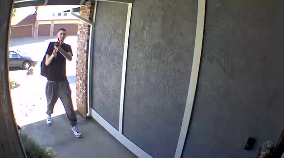 Prank gone wrong! California man jokingly points fake gun at security