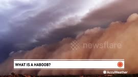 What is a haboob and how do they form?