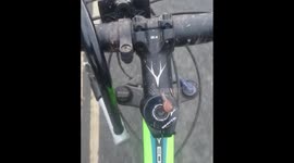 Hitchhiking snail enjoys life in the fast lane