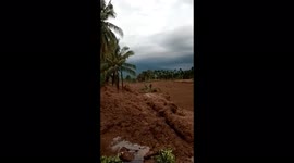 Indonesia quake: Watch moment coconut tree gets carried away by mudslide triggered by aftershocks