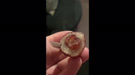 Mum stunned to find second grape growing INSIDE of son’s grape