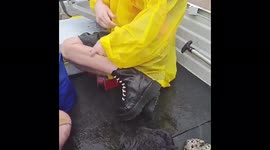 Australia: Devastating Floods Continue In Parts Of Queensland And New South Wales 4