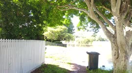 My new lake side view. Queensland Floods Feb-March 2022. Brisbane Floods.