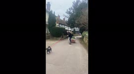 Ingenious man uses 1-wheeled board to drag garden waste down road in UK