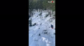 '6 y/o boy in a cute dino costume collides with a tree while sliding down a snow hill '