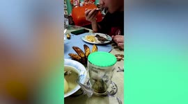 Pet sparrow joins family for supper in the Philippines