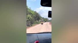 Postman delivers huge chicken coop on the back of motorcycle