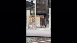 War in Ukraine: Eyewitness footage shows damage to Kharkiv city centre