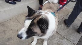 We Can't Pay: Bring Your Own Bill Protest