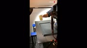 temp