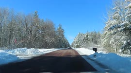 Trees still coated in snow and ice after the ice storm in Ashland WI