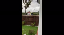 New Zealand: Bus Crashes Into House In Wellington