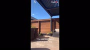 temp