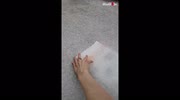 temp