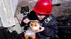 Brave female worker has lunch atop 30-metre-high pylon in China
