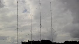 Controlled demolition of 4 lattice masts (130+ Metres)