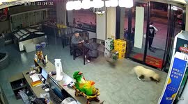 Woman falls off chair that is pulled away by dog in China