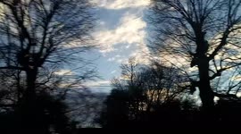 Beautiful Blue Sky Beautiful Trees Nice Scene Beautiful Beautiful