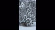 temp