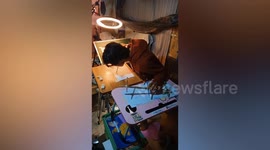 Talented artist draws 11 sketches at same time using both hands, feet and MOUTH