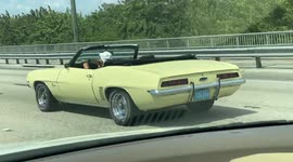1968 Canary Yellow Convertible Camero cruising down city of Tampa streets!!!