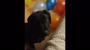 temp