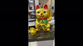 The maneki-neko ('beckoning cat') is a common Japanese figurine which is often believed to bring good luck to the owner!!