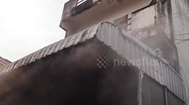 Seven Persian cats rescued from burning building in Thailand