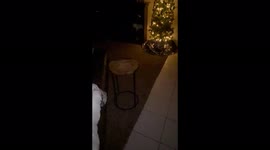 Dragon Orb, I have had this Dragon Orb follow me now from the hills of West Virginia all  the way to  Fountain Hills ,Arizona! And I’m training it and I know that sounds crazy but I have many others showing it!!!’