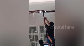 Giant 15-foot-long python caught after 'living for weeks' in family's ceiling