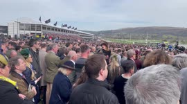 Cheltenham roar
