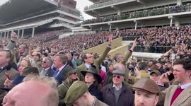Cheltenham roar 2