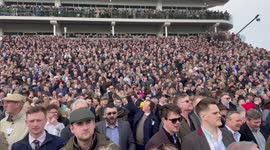 Cheltenham roar returns after 2-year absence due to COVID-19