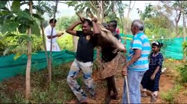 A deer and her fawns that was trapped in the electric fence was rescued and taken for treatment in South India