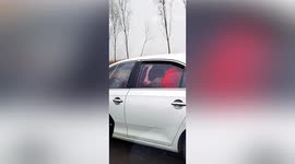 Farmer spotted transporting cow in car on road in China