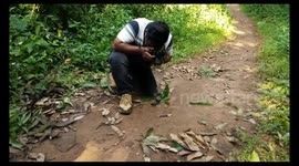 Critically endangered limbless lizard filmed for the first time ever in eastern India