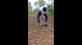 21-year-old snake enthusiast bitten by a cobra while doing stunts after rescue
