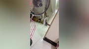 temp