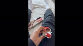 A micro pig named Manny asks the owner for a treat.