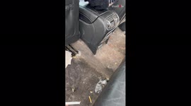 'Car detailer does his magic on a Porsche Cayenne that hadn’t been cleaned in OVER 4 YEARS '