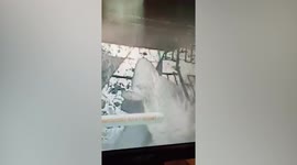 Police are hunting thief after stealing a life sized plastic GORILLA from a man's pond