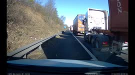 Near-miss as dog crosses busy A road in UK forcing truckers to slam on brakes