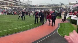 Great send off for #TigerRoll @CheltenhamRaces https://t.co/acmhvcmVf7