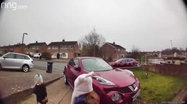 Shocking footage shows moment cat SURVIVES being run over by speeding car