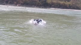 Swimming game on koshi river . The boy is on a tube. Play with tube in river.