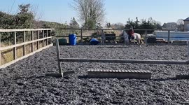 Harriett Peaches take off to the stars. Tiny tot jumping 92cm