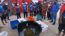 The prohibited fishing area in Port Dickson, Malaysia